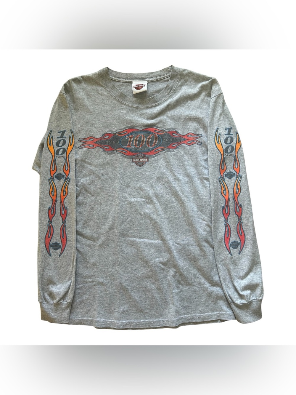 Vtg Y2K 2003 HARLEY-DAVIDSON Gray 100 Years Long Sleeve Flames T-Shirt Small Tee